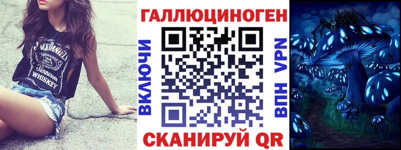 ссылка на мегу ССЫЛКА  Мытищи  Псилоцибиновые грибы Psilocybe 
